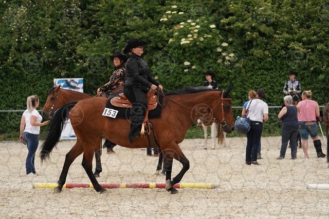 sA9K09157.JPG